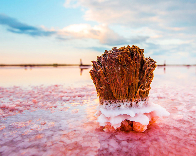 Розовая соль:  дар крымских озёр