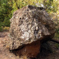 Растущий каменный гриб